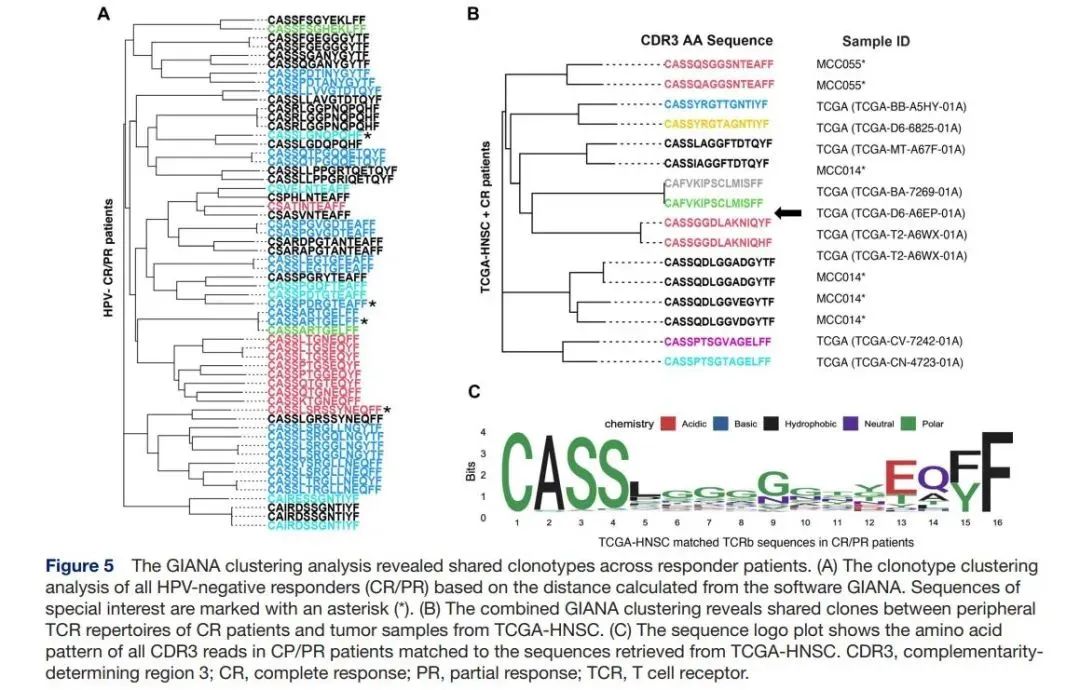 J IMMUNOTHER CANCER |外周血TCR可作为单抗与PD-1联用治疗头颈部鳞状细胞癌的潜在标志物！